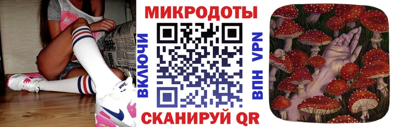 Галлюциногенные грибы Magic Shrooms  закладки  MEGA ссылки  Владикавказ 